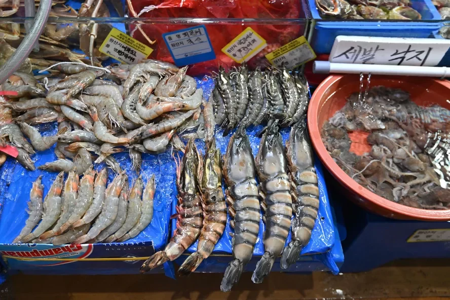 الصين تحظر المنتجات البحرية اليابانية بعد إطلاق المياه المعالجة إشعاعيا في المحيط الهادئ