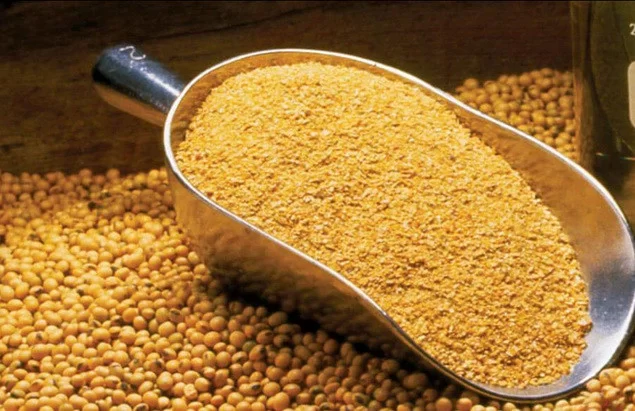 حجم سوق معالجة فول الصويا في الولايات المتحدة هي الأعلى على الإطلاق خلال فبراير