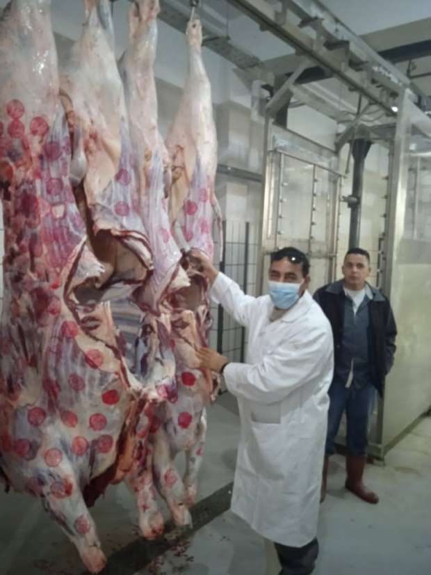 استعدادا لعيد الأضحى.. «بيطري الدقهلية» يعلن إلغاء الإجازة وتجهيز 24 مجزرا