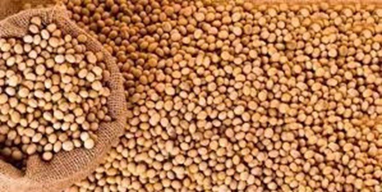 عمليات التفتيش على صادرات فول الصويا الأمريكية أقل من التوقعات عند 1.11 مليون طن