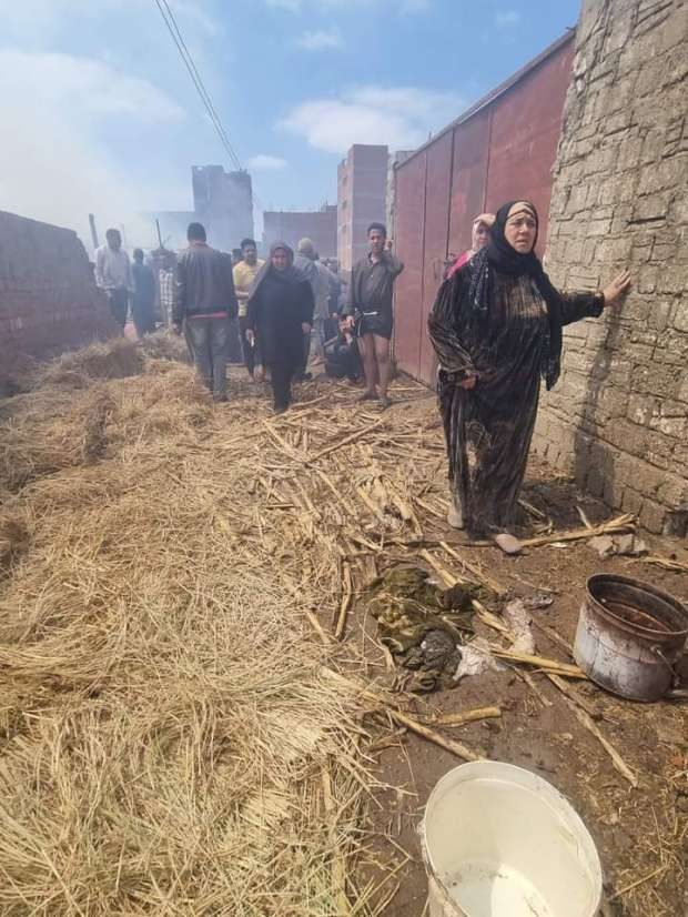 حريق هائل في حظيرة مواشي بالغربية