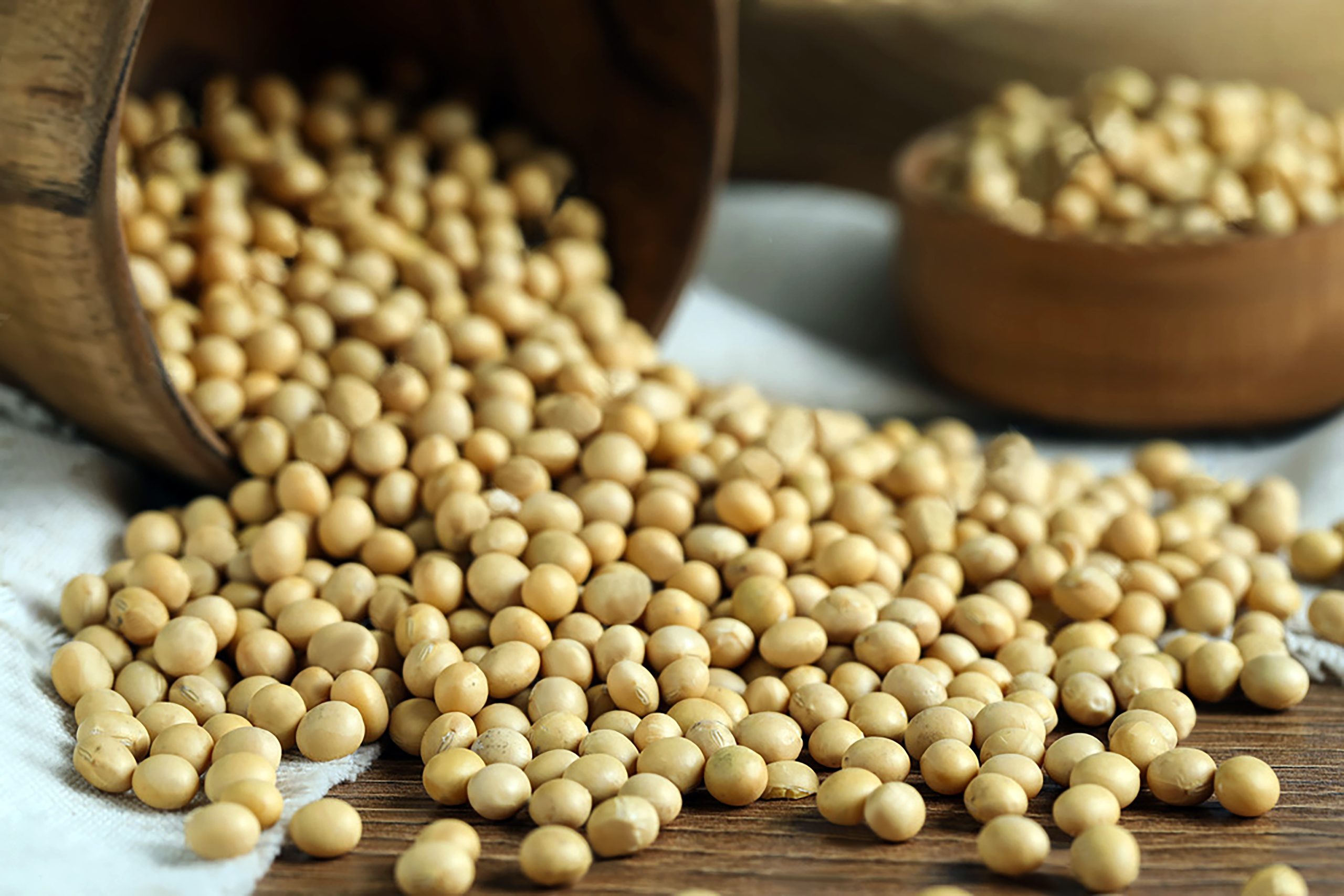 مبيعات فول الصويا