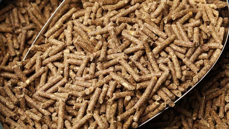 أشعار خامات الأعلاف اليوم 3-11-2022