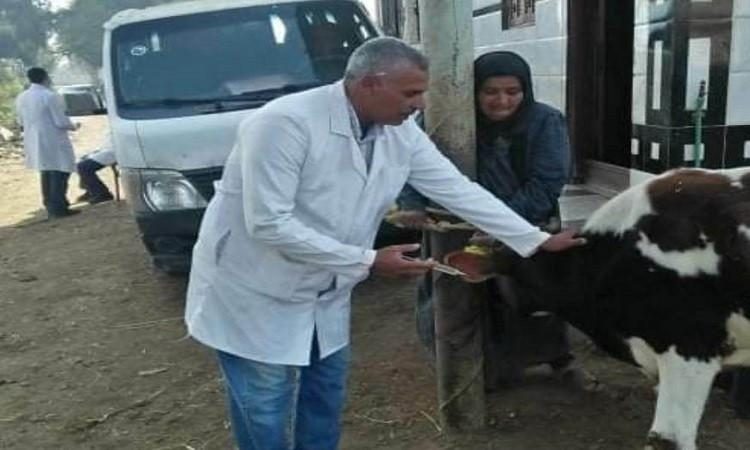 جامعة الزقازيق تطلق قافلة بيطرية بقرية المسلمية في الشرقية