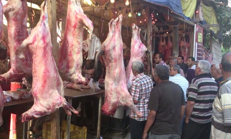 شعبة القصابين: المنافذ والمجمعات الاستهلاكية تطرح لحوم بتخفيضات 40%و إقبالا كثيفا من المواطنين