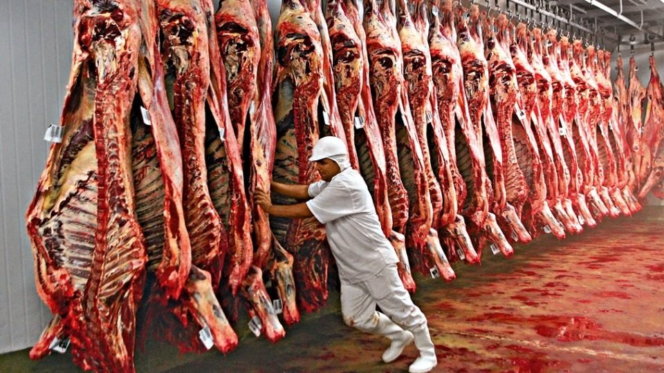 صادرات لحوم البقر البرازيلية تسجل رقما قياسيا تاريخيا في يونيو