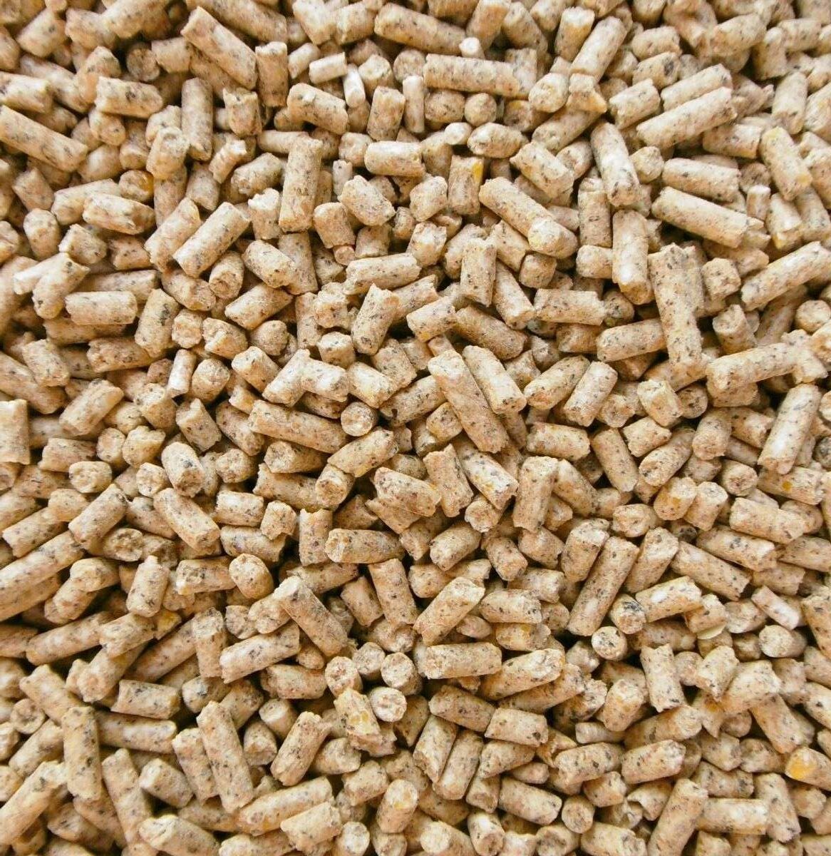 أسعار العلف