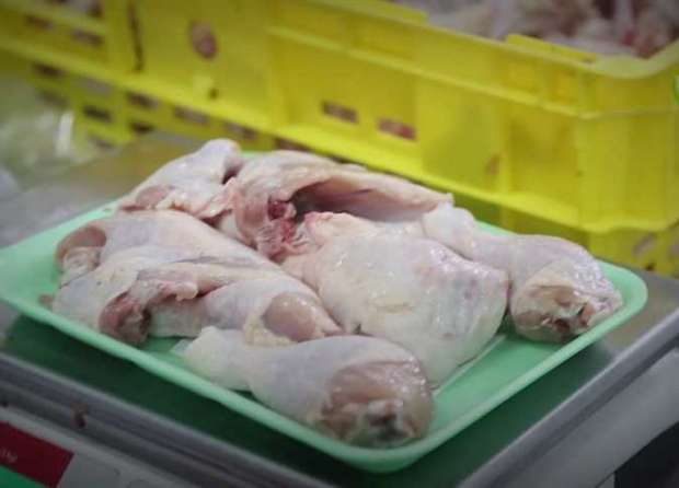 أسعار الدواجن اليوم في الأسواق