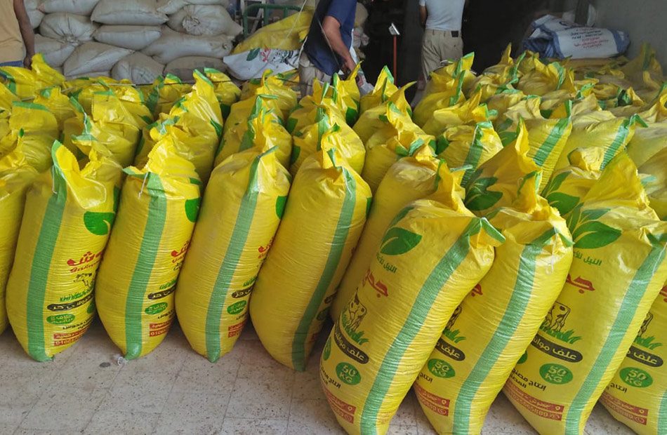 التحفظ على 641 طنا من الأعلاف المجهولة المصدر بغرب الإسكندرية