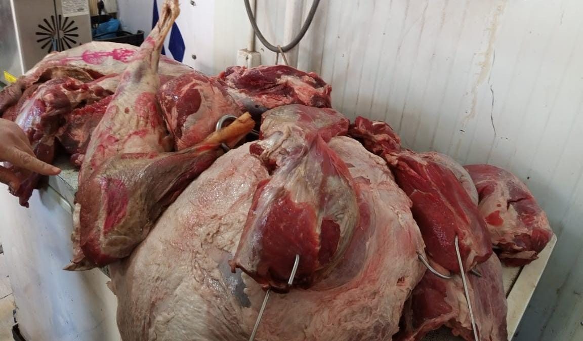 ضبط 10 جزارين يبيعون لحومًا غير صالحة في البحيرة