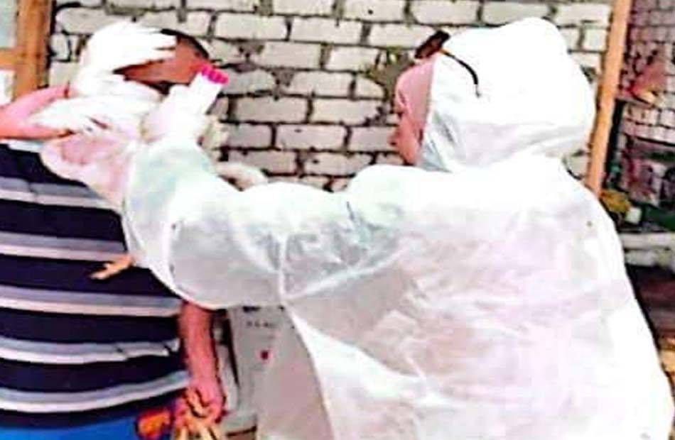 التقصي النشط لمرض إنفلونزا الطيور فى مسار الطيور المهاجرة