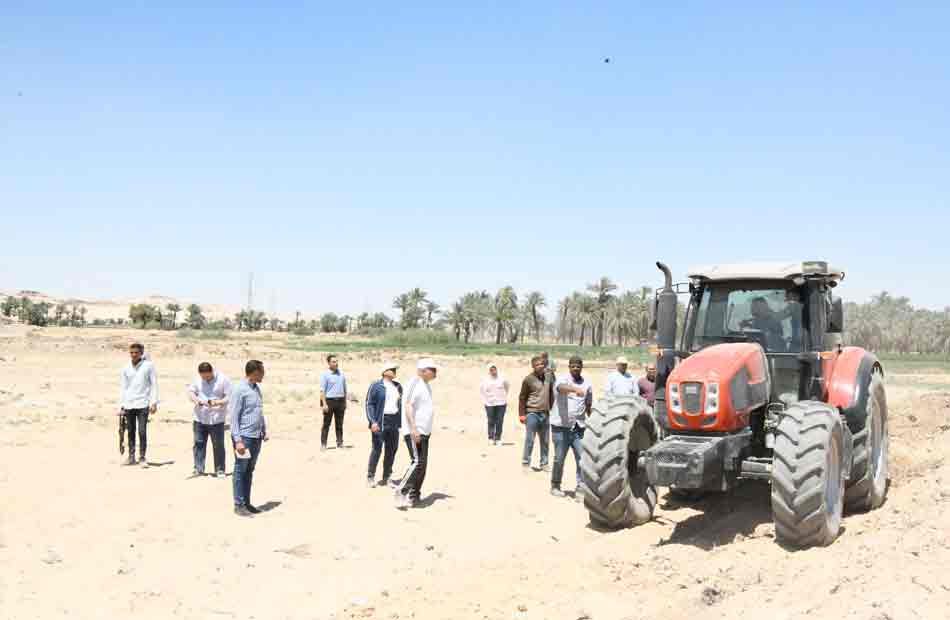 استصلاح وزراعة 50 فدان كعلف للدواجن بمنطقة مشروعات الأمن الغذائي في قنا