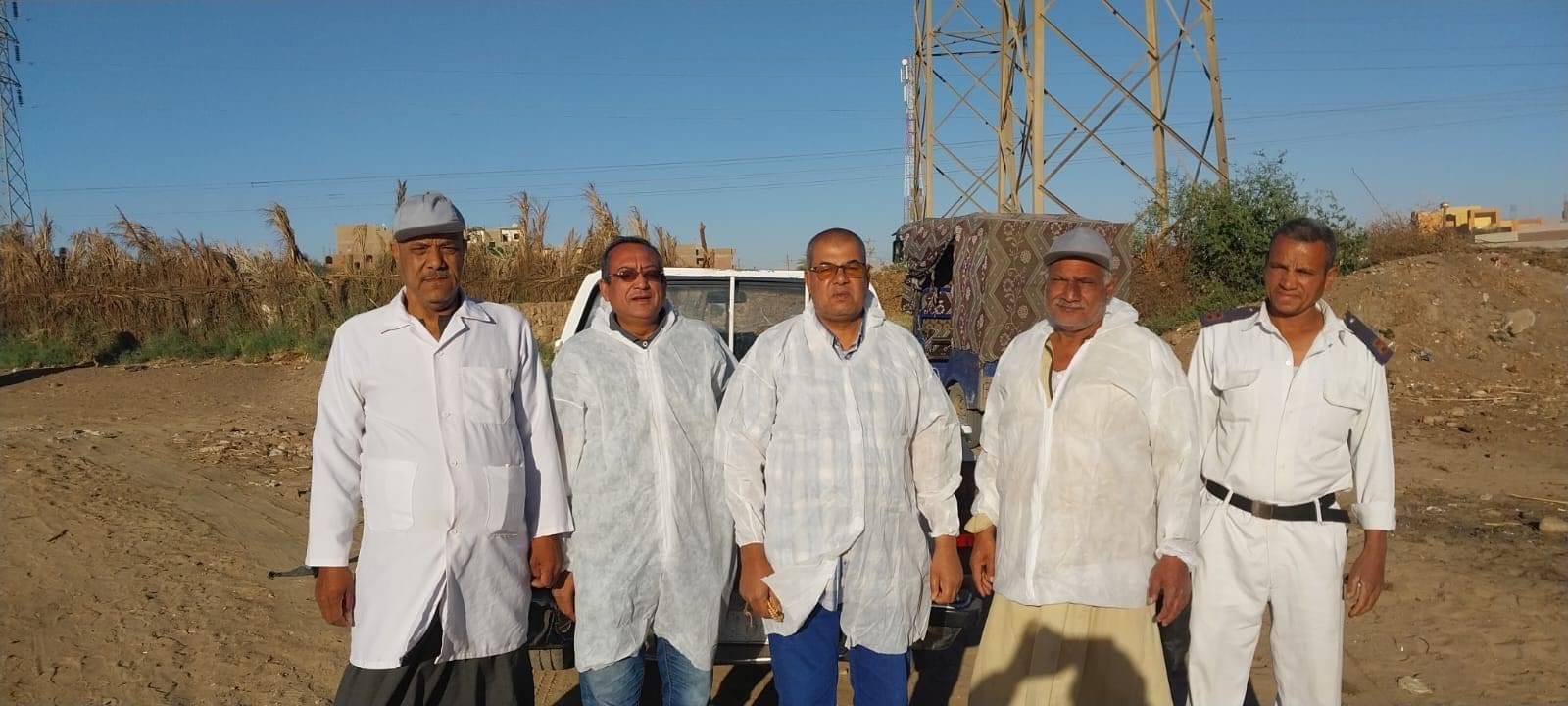 بيطري الأقصر: تحصين 54450 رأس ماشية ضد الأمراض الوبائية