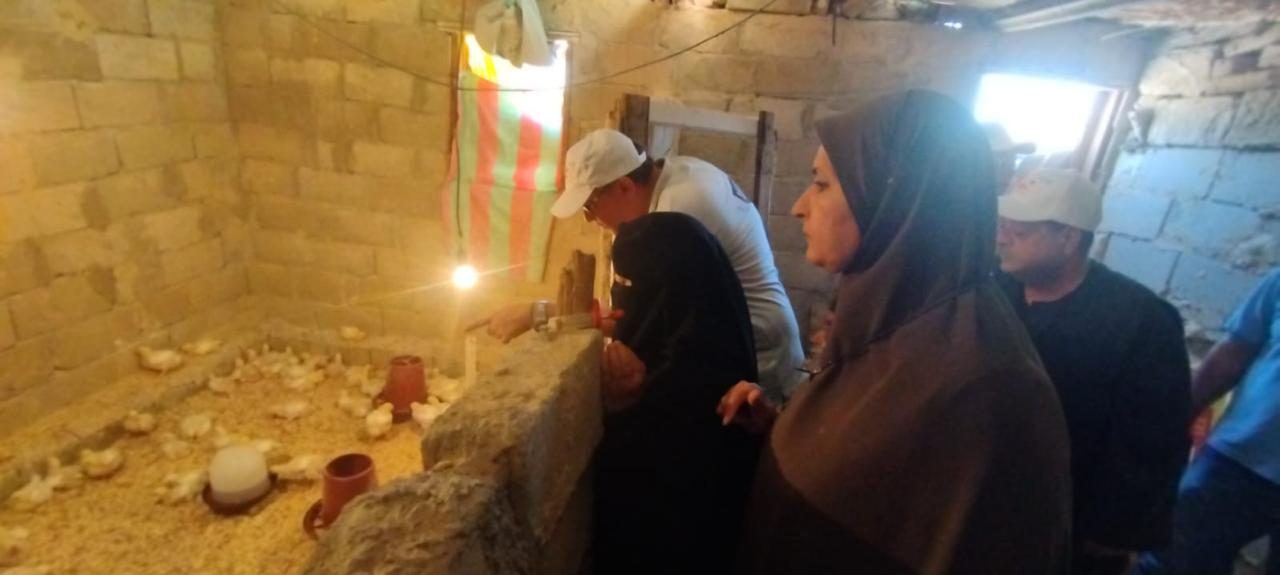 مزارع الدواجن