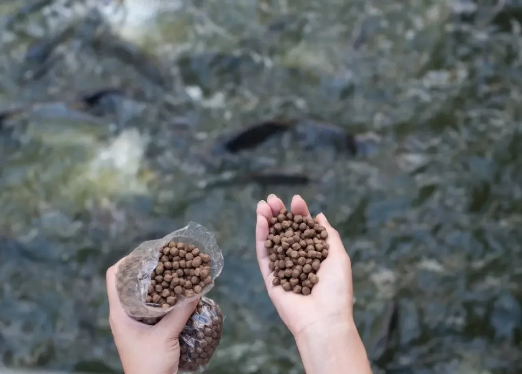 أللر أكوا تكشف أسباب ارتفاع النافق في مزارع الإستزراع السمكي هذا العام