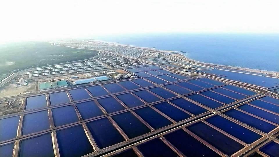 برلمانية: مشروع الفيروز للاستزراع السمكى ببورسعيد يسهم فى زيادة الثروة السمكية