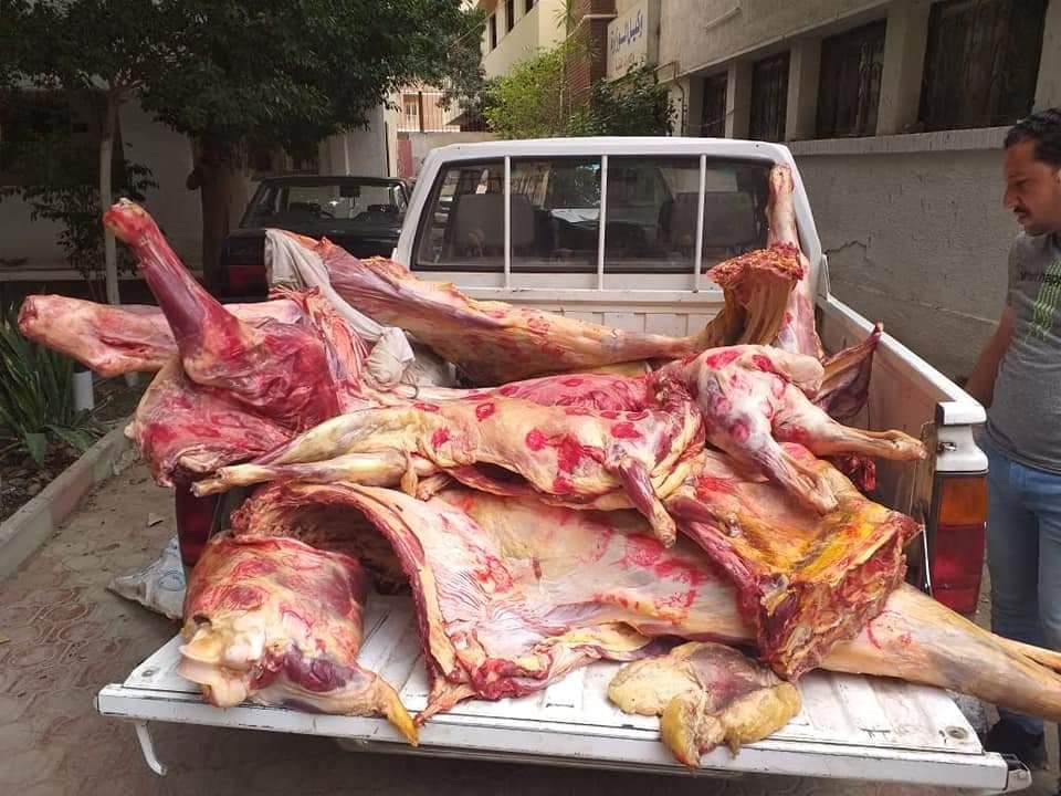 بيطري الجيزة: مصادرة 1230 كيلو لحوم مذبوحة خارج المجازر