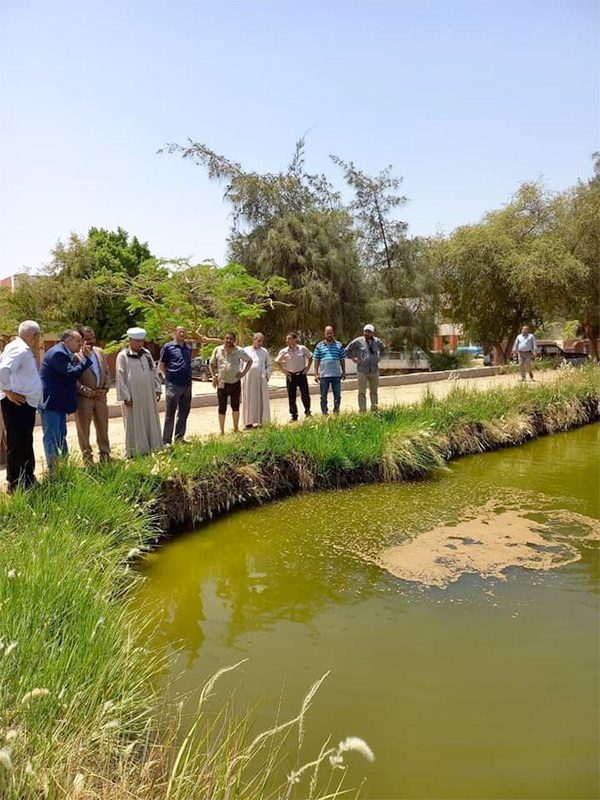 إلقاء كمية كبيرة من الزريعة في نهر النيل بمركز أخميم لزيادة التفريخ والإنتاج