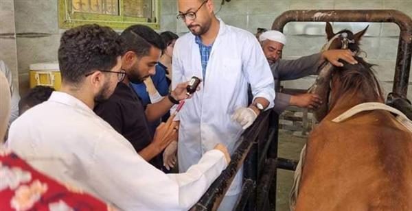 "بيطري الإسكندرية" تطلق 9 قوافل طبية بيطرية لحماية الثروة الحيوانية بقرى أبيس