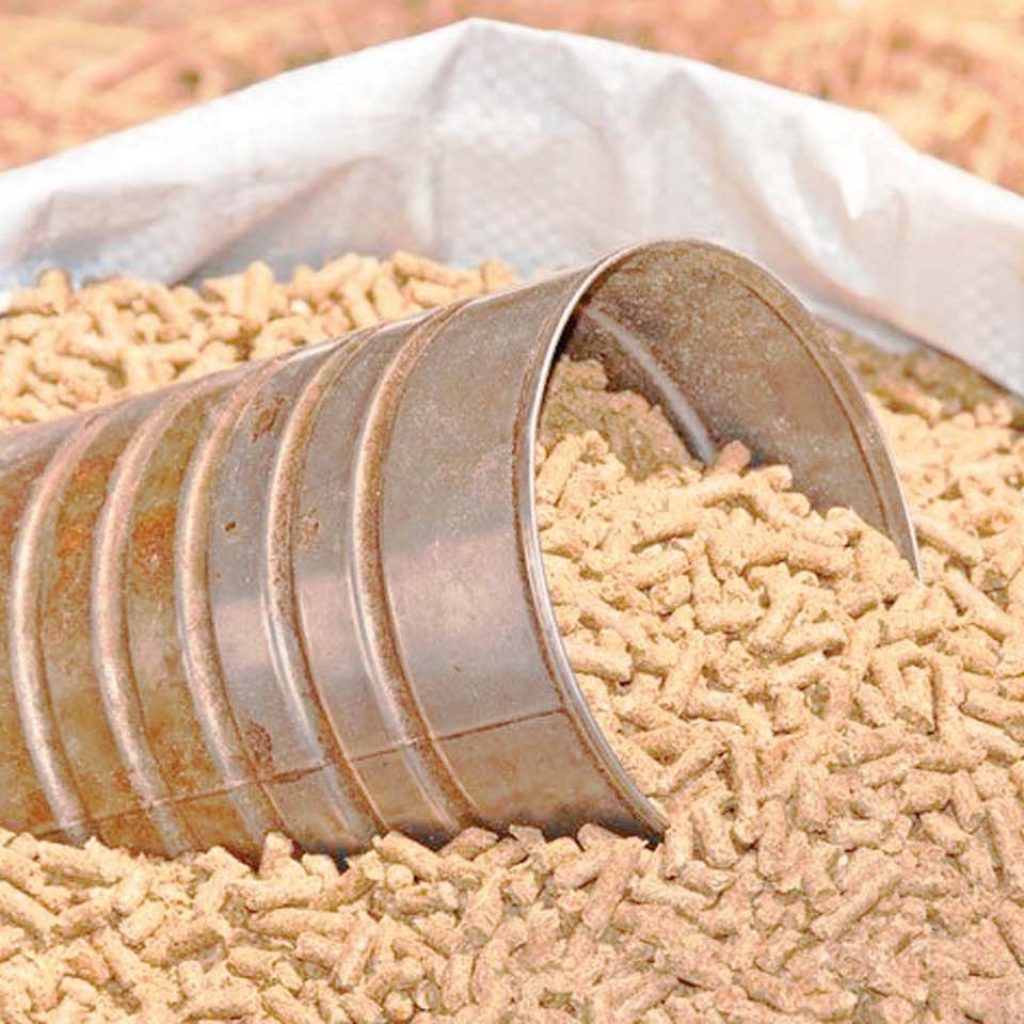 السنطة للأعلاف