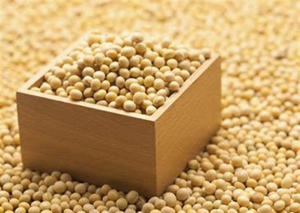 واردات الصين من فول الصويا تسجل 12.02 مليون طن في مايو 2023