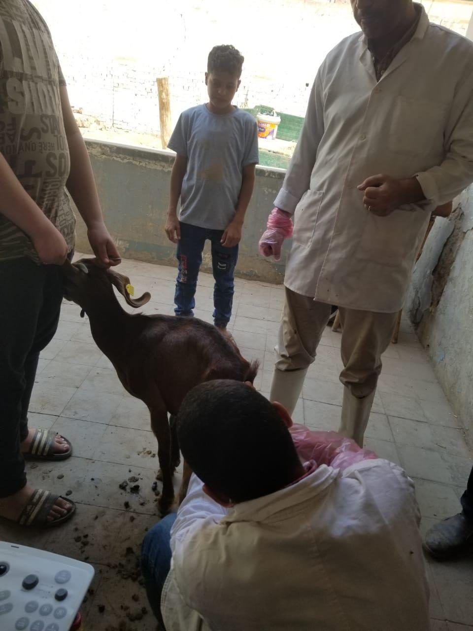 "بيطري الغربية" تعقد ورشة عمل لتدريب أطباء وحدات حياة كريمة