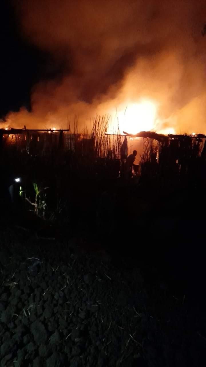 نفوق 5 رؤوس ماشية إثر حريق فى عدد من حظائر المواشي بإحدى قرى المنوفية