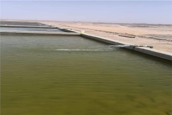 تنمية البحيرات: بدء التشغيل التجريبي لمفرخ توشكى بطاقته إنتاجية 35 مليون وحدة زريعة
