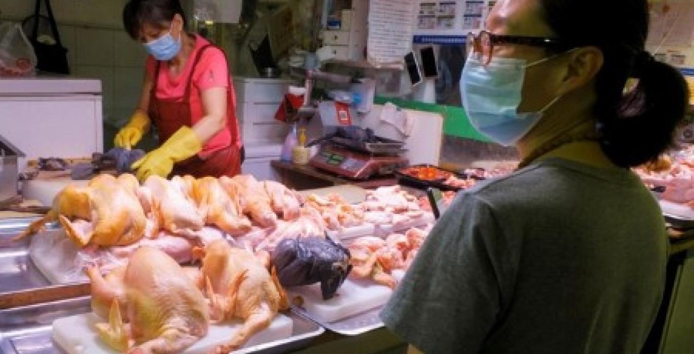 الصين تستأنف استيراد الدواجن والماشية من كازاخستان