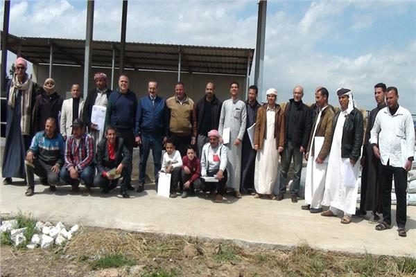 «البحوث الزراعية» يعقد دورة تدريبية بعنوان «الأعلاف غير التقليدية والعناية بالجاموس الحلاب»