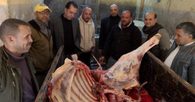 بيطري المنوفية يضبط سلخانة غير مرخصة ولحوم غير صالحة