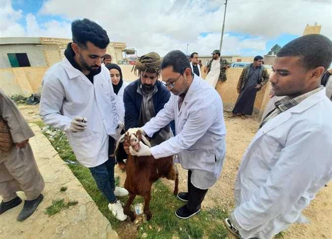 جامعة مطروح تنظم قافلة بيطرية مجانية لقرية «المثاني»