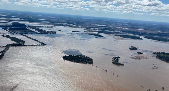 قطاع الدواجن البرازيلي يخسر 35 مليون يورو بعد كارثة المناخ