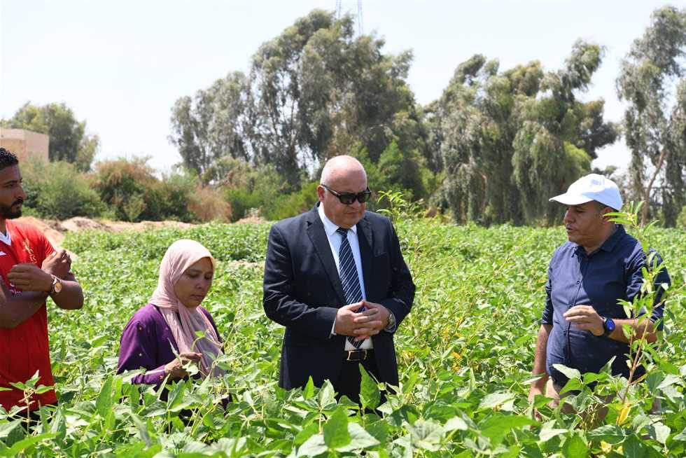 محافظ قنا يتفقد محصول فول الصويا ضمن مشروع الـ1000 فدان