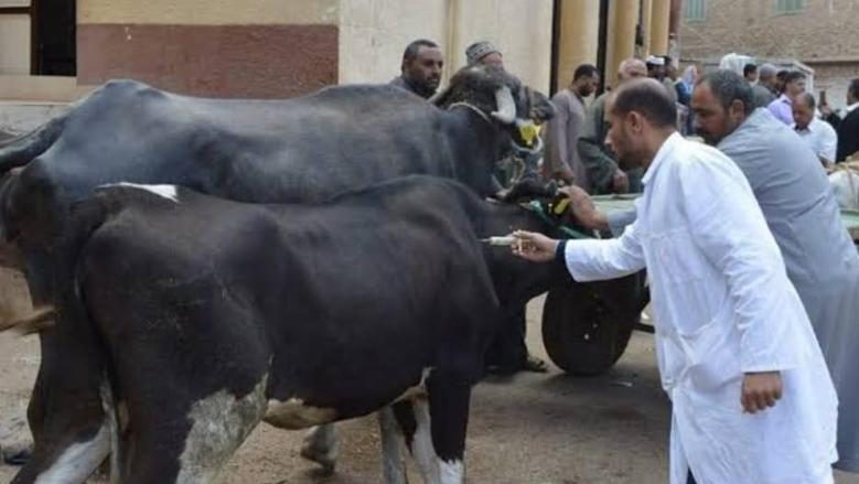 نقيب الفلاحين يدعو مربي المواشي للتأمين على الحيوانات عبر الوحدات البيطرية