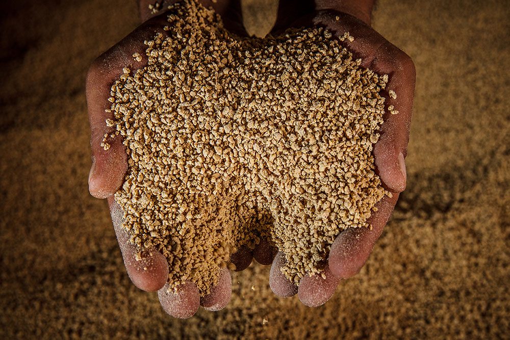 هيثم الصعيدي للأعلاف: السحب على العلف في تحسن بداية من شهر مارس بخلاف فبراير