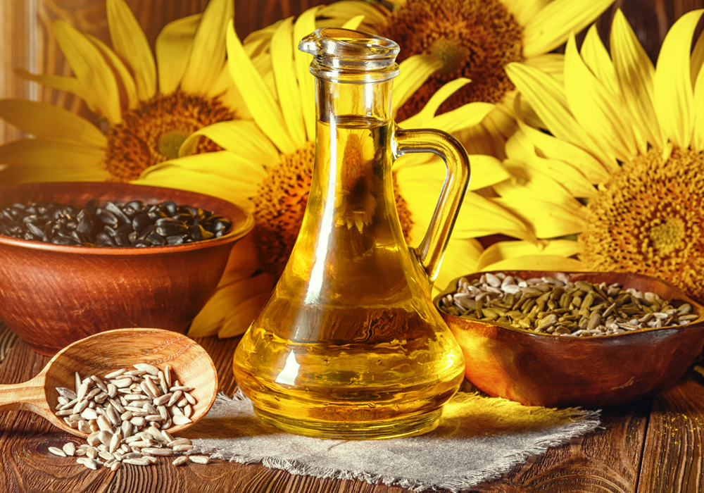 الاتحاد الأوروبي يزيد وارداته من البذور الزيتية والمنتجات المصنعة بنسبة 7%