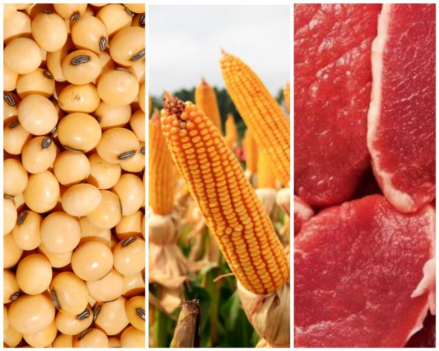 لحوم البقر والذرة أبرز الصادرات البرازيلية