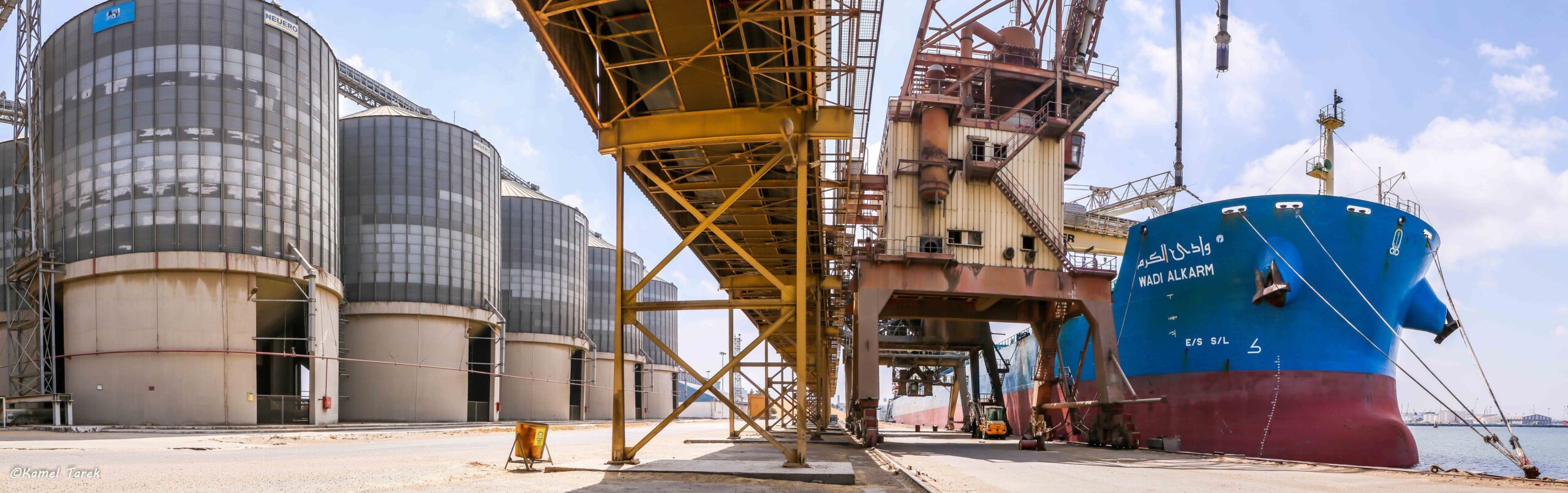 لليوم الثاني بدون ذرة.. ميناء دمياط يستقبل 644 راس ماشية (تسمين ) خلال 24ساعة