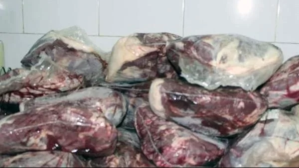 ضبط لحوم وأسماك غير صالحة للاستهلاك الآدمى