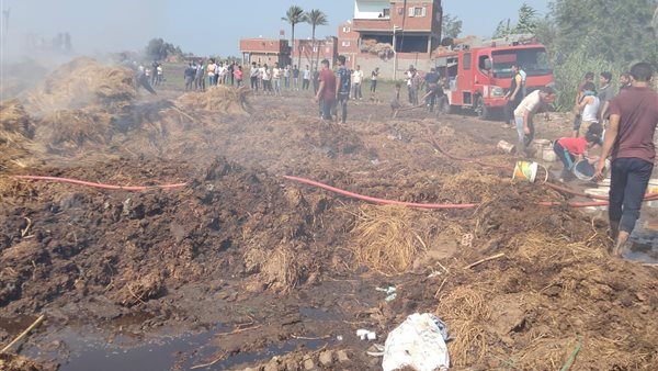 نفوق 7 مواشي في حريق حظيرة بالدقهلية