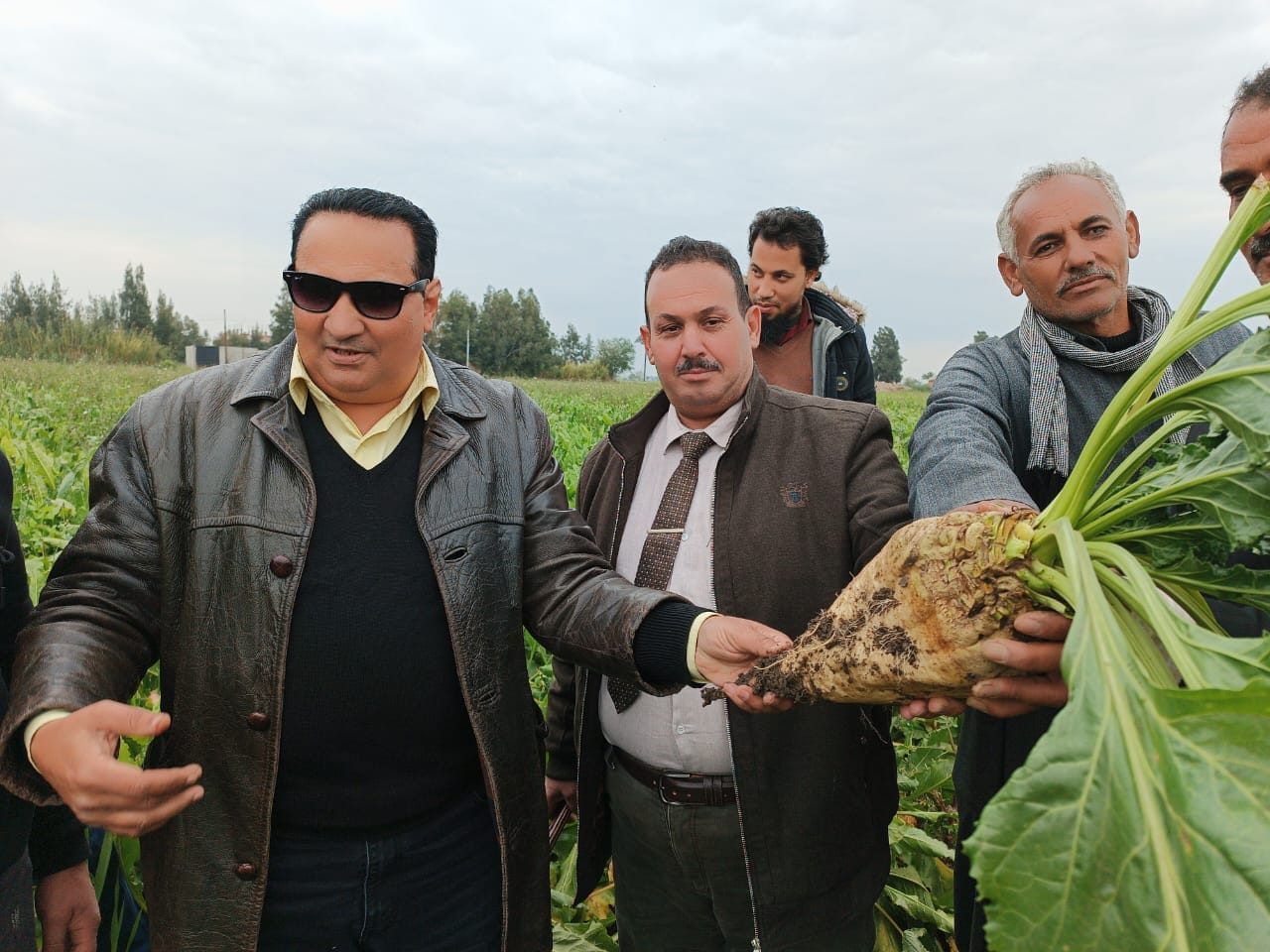 الزراعة تتابع تنفيذ الزراعات التعاقدية في دمياط