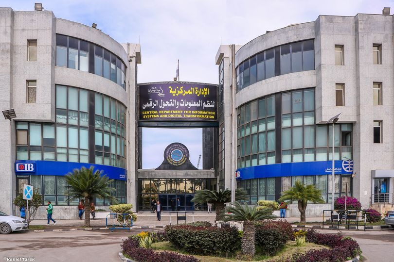 بينهم ذرة وصويا ورؤوس ماشية.. ميناء دمياط يستقبل 12 سفينة خلال 24 ساعة