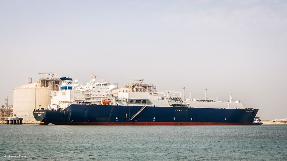 بينهم ذرة وصويا.. تداول بضائع وحاويات 7 سفينة في ميناء دمياط