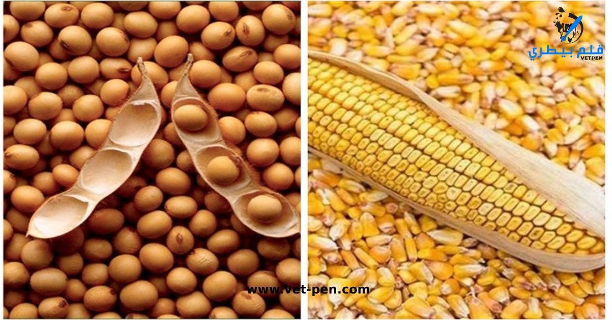 أسعار خامات وإضافات الأعلاف المحلية والمستوردة