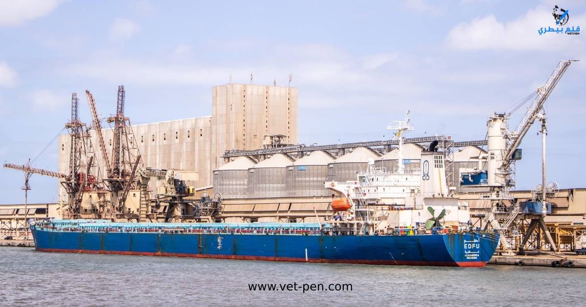 ميناء دمياط