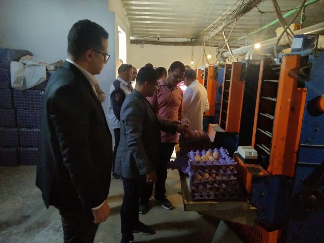 "لليوم الرابع" الزراعة والتموين يواصلان التفتيش على شركات بيض المائدة بالمحافظات