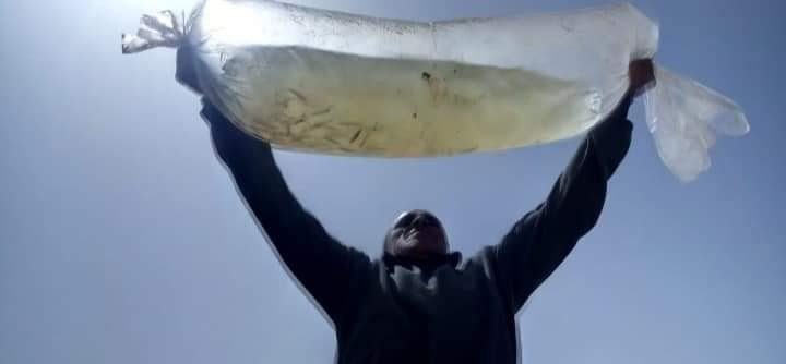 إطلاق مليون وحدة إصبعيات من أسماك البلطي والعائلة البورية بالوادي الجديد