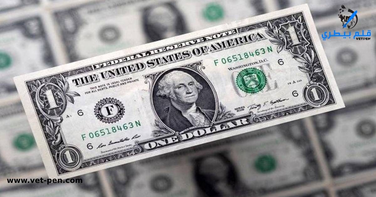 تعرف على سعر الدولار وأسعار صرف العملات العربية والأجنبية اليوم السبت 5-8-2023