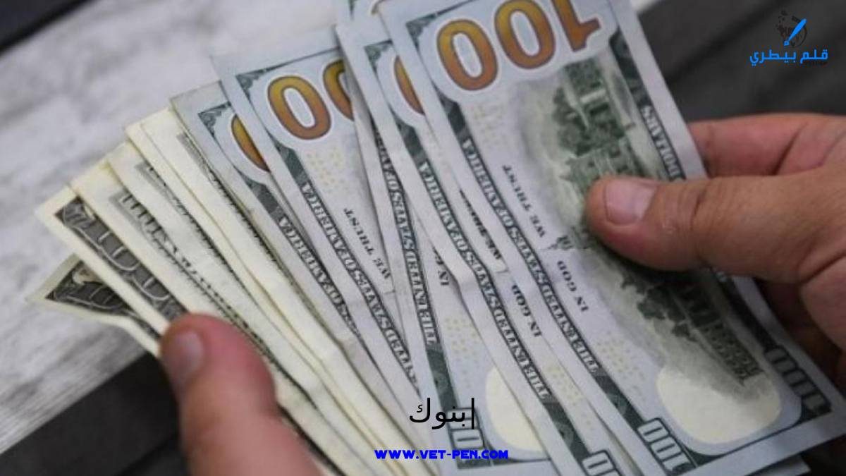 السعر الرسمي للدولار والعملات العربية والأجنبية اليوم الخميس 3-8-2023